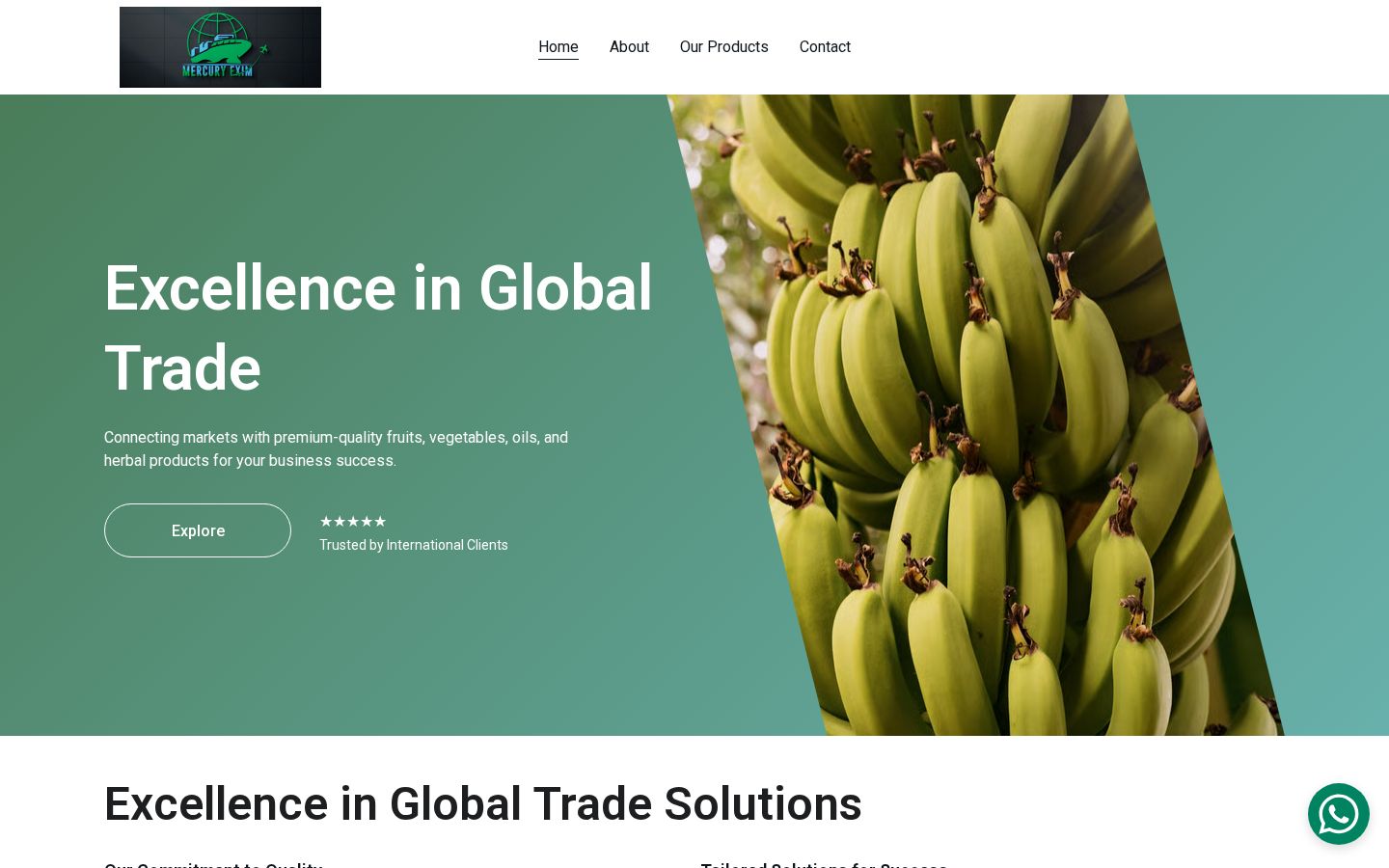 Mercury Exim site preview